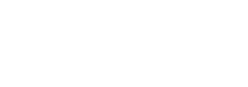 logo finesstra light II